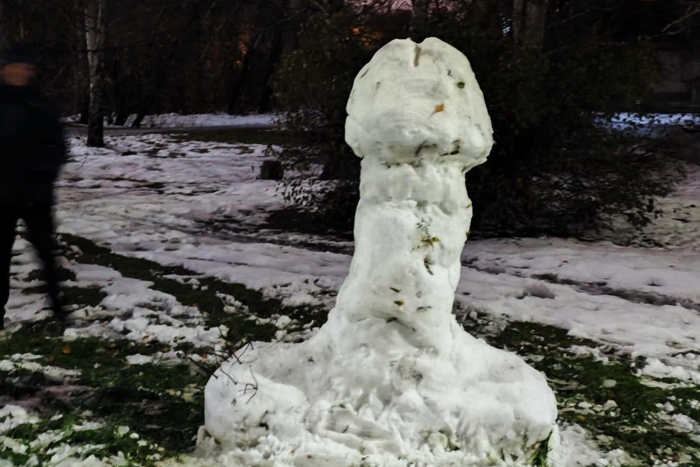 Член из снега