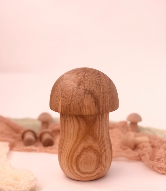 Развивающая деревянная игрушка