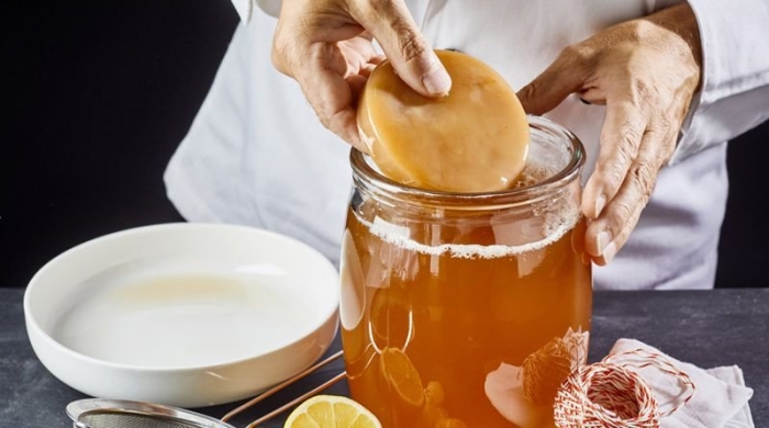 Чайный гриб или комбуча