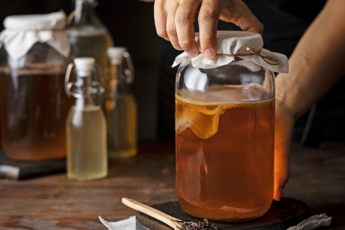 Чайный гриб комбуча