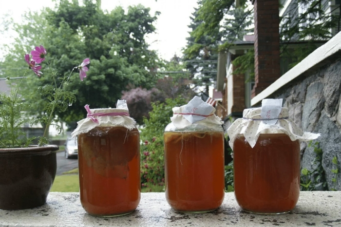 Чайный гриб в трехлитровой банке