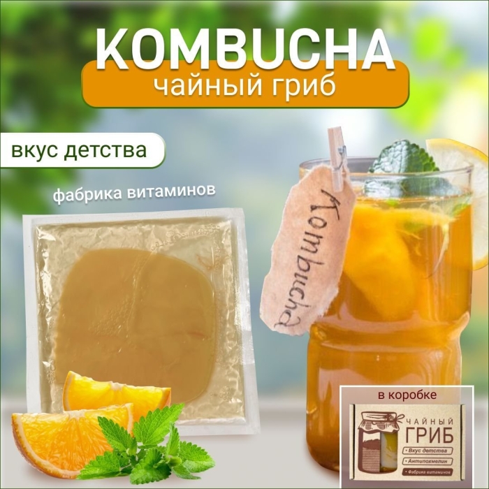 Набор для чайного гриба