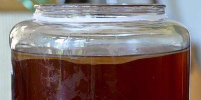 Чайный гриб рецепт