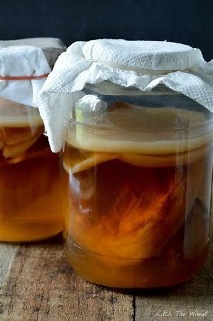 Чайный гриб комбуча