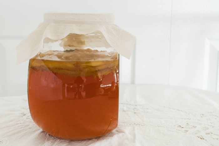 Большой чайный гриб