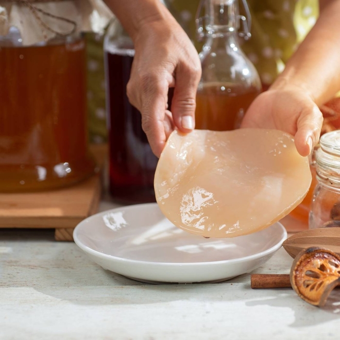 Чайный гриб полезные свойства