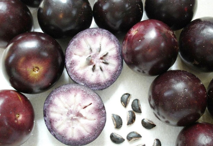 Каимито звездчатое яблоко