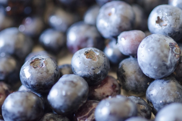 Черника голубика