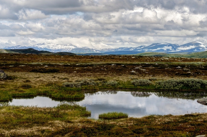 Рельеф тундры