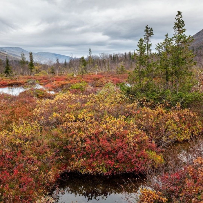 Кольский полуостров хибины осень