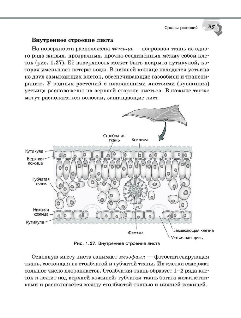 Учебник биологии 7 класс константинов