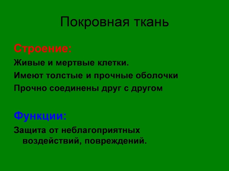 Покровная ткань строение и функции