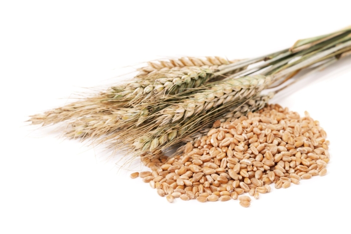 Пшеница зерна
