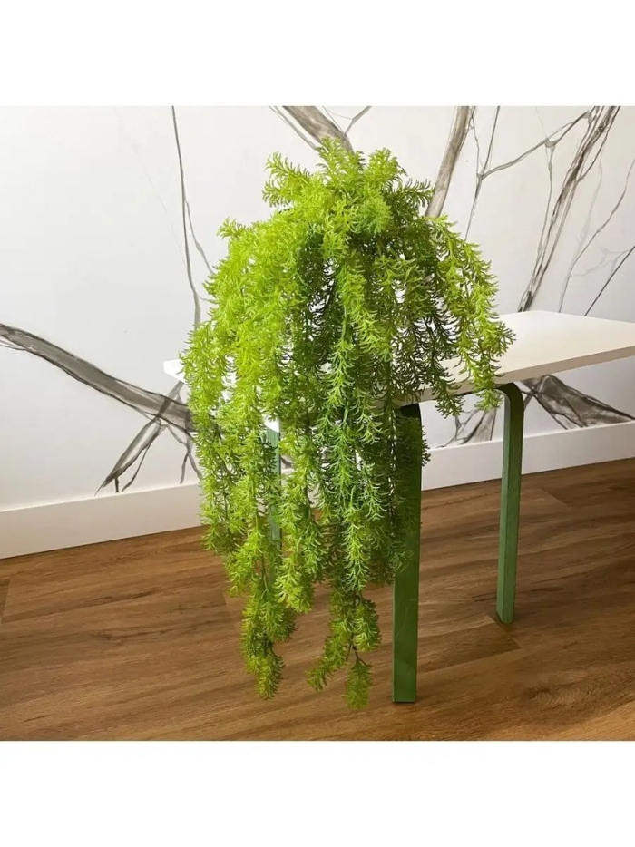 Ампельные комнатные растения