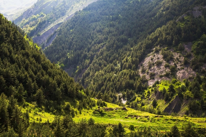 Хрюгский лес ахтынский район