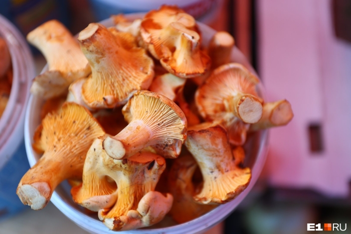 Лисички съедобные