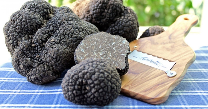 Tartufo трюфель