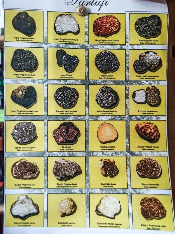 Каменные метеориты