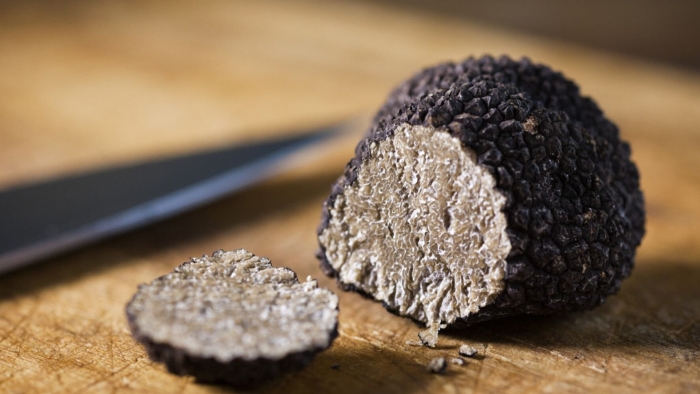 Гриб трюфель