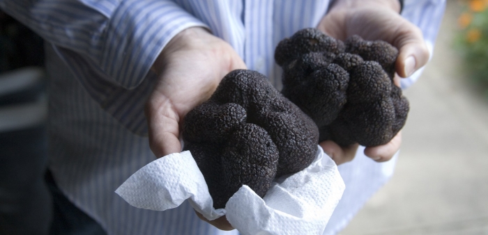 Черный трюфель