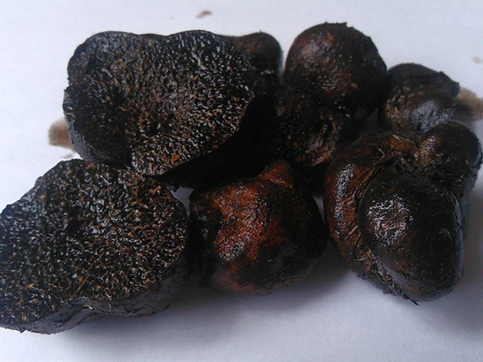 Черный перигорский трюфель