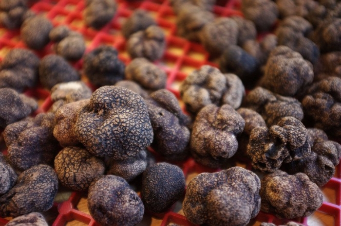 Китайский трюфель