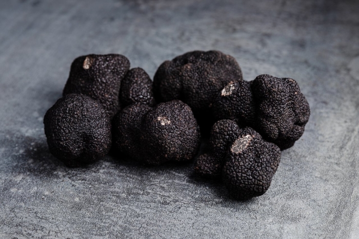 Черный перигорский трюфель