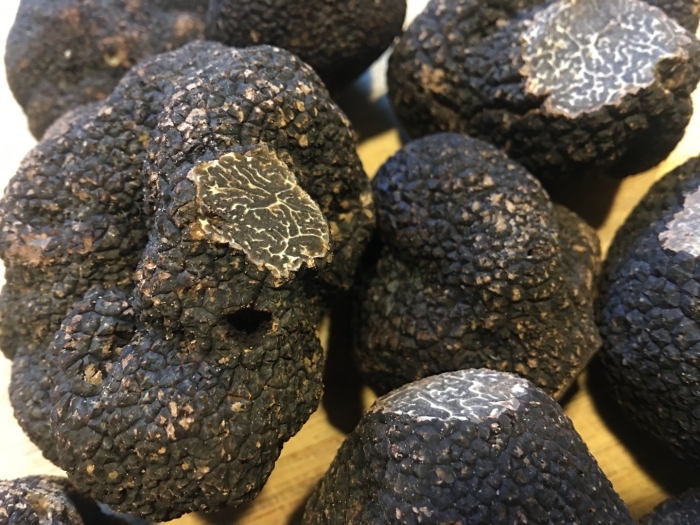 Трюфель летний русский черный