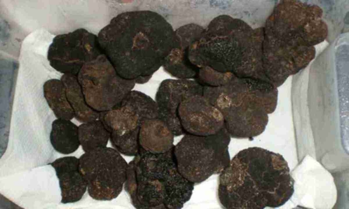 Трюфель черный