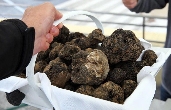 Сколько стоит гриб трюфель