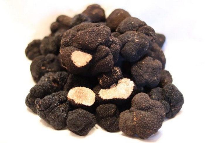 Черный перигорский трюфель