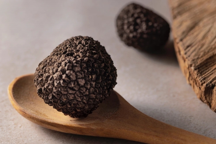 Трюфель черный