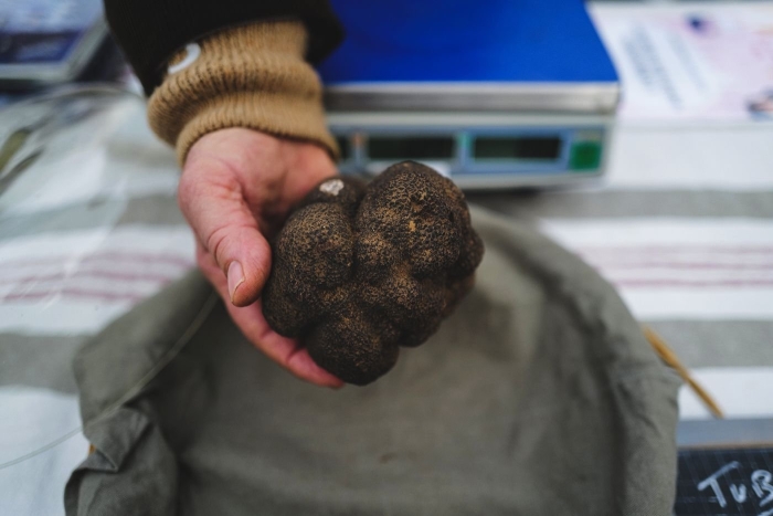 Русский чёрный трюфель