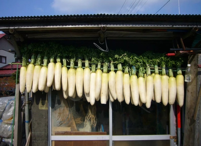 Дайкон миноваси