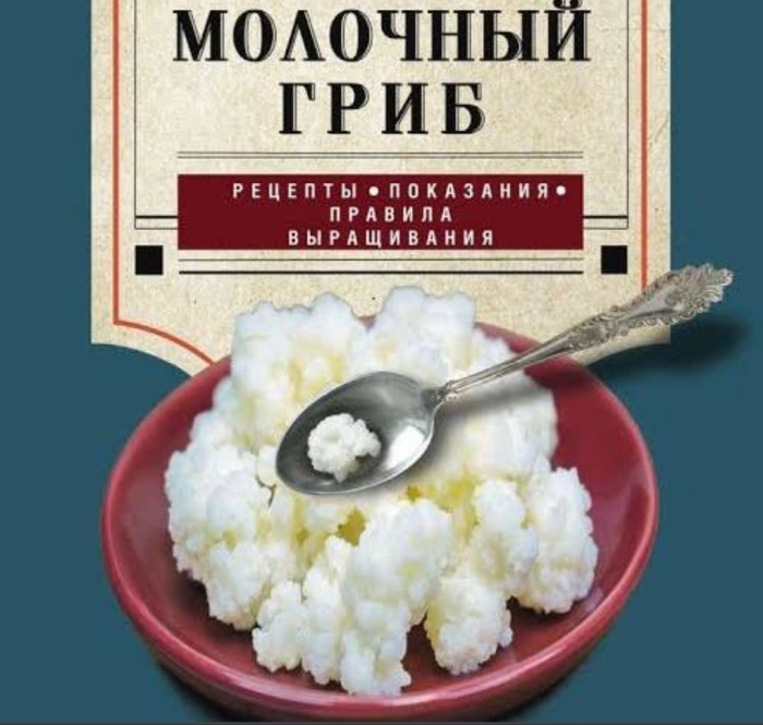 Кефирный гриб