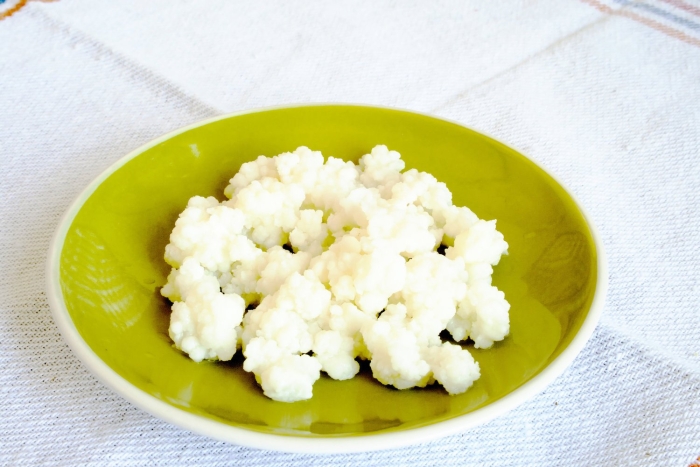 Живой кефирный тибетский гриб