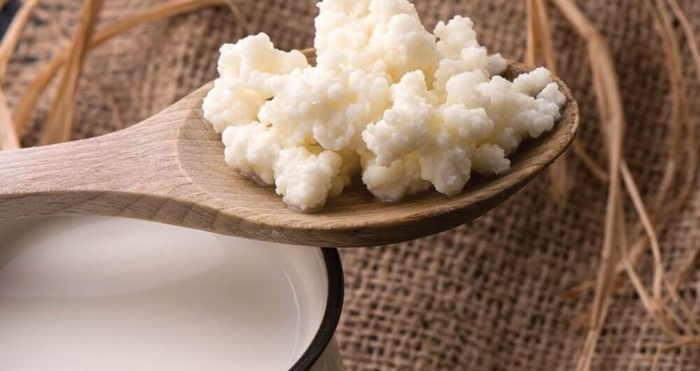 Кефирные зерна