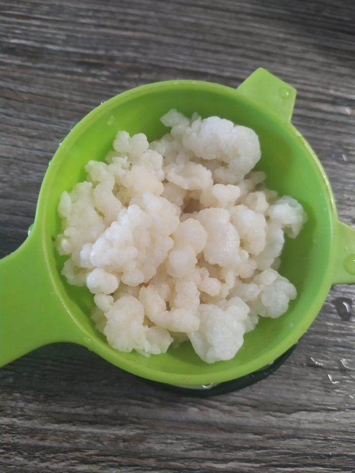 Живой кефирный тибетский гриб