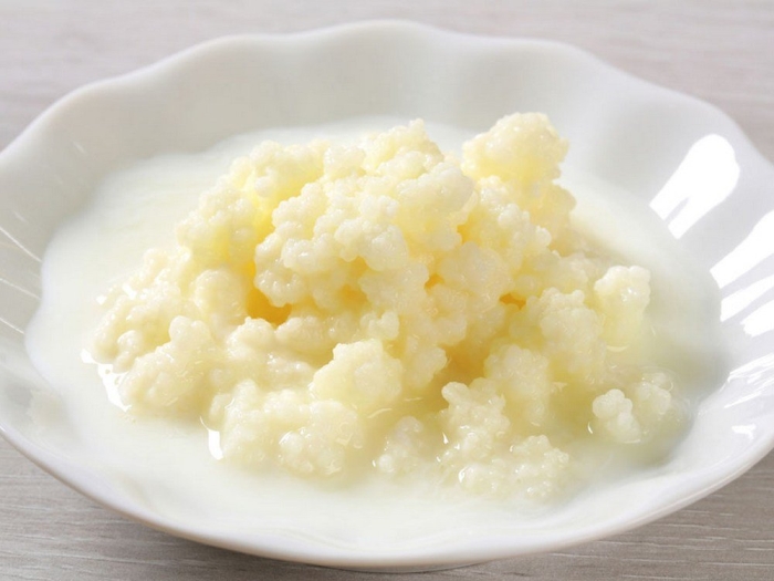 Кефирные грибки