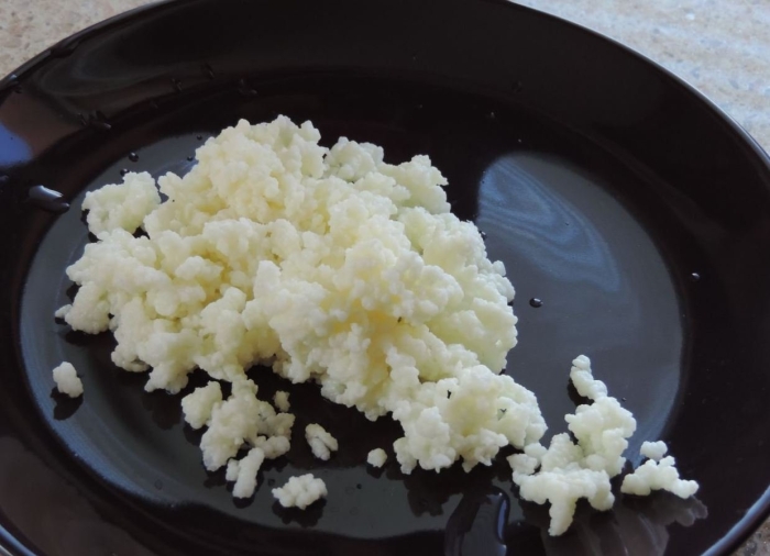 Тибетский молочный гриб