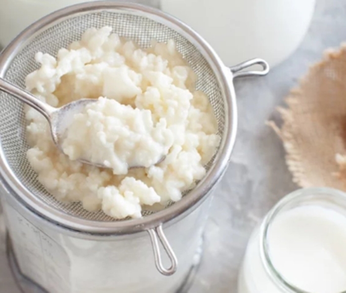 Молочный гриб