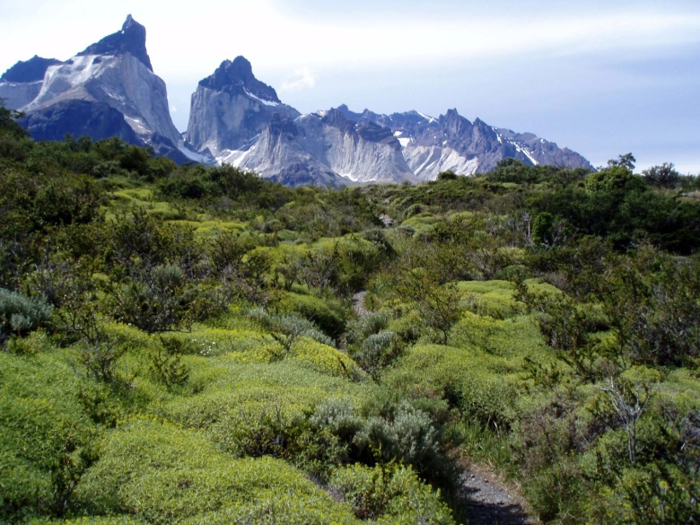 Torres del paine national park