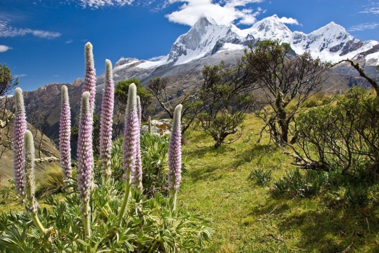 Колумбия горы Анды