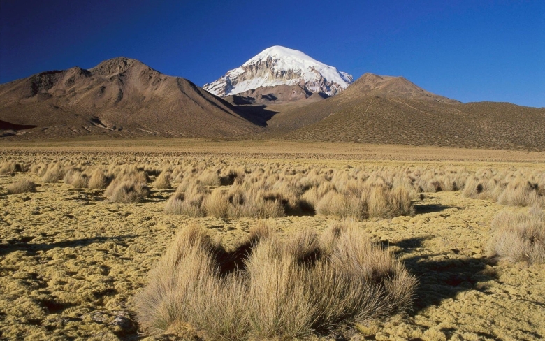 Нагорье Ахаггар