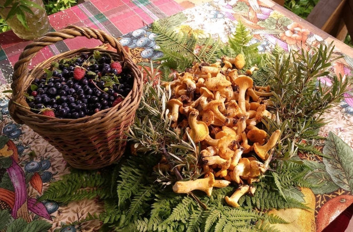 Карелия ягель ягоды грибы