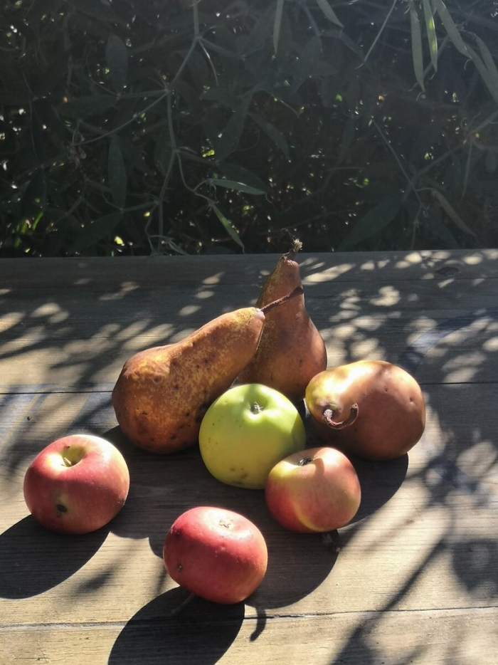 Фрукты и овощи