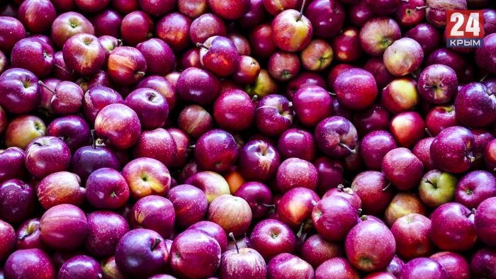 Сорта яблок в крыму