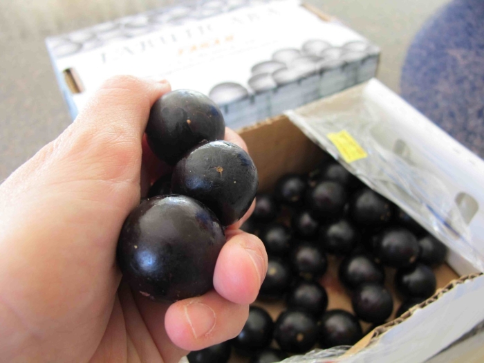 Черная смородина ленинградский великан