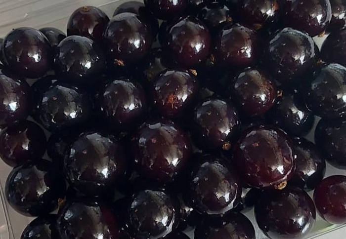 Экзотические ягоды