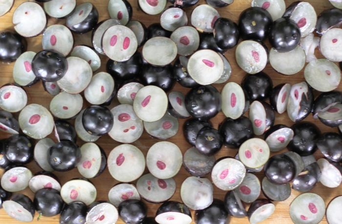 Джаботикаба фрукт